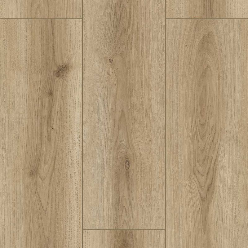 Trent-Oak1