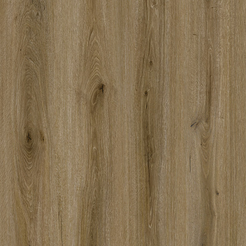 _0001_Dorset-Oak