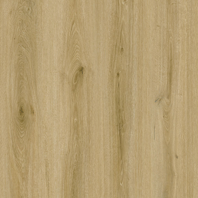 _0001_Winchester-Oak