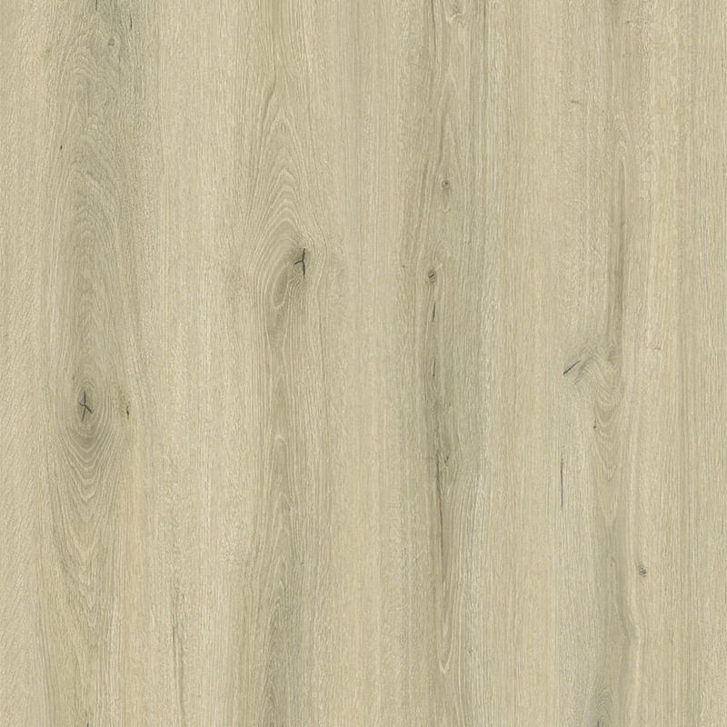 _0001_Somerset-Oak