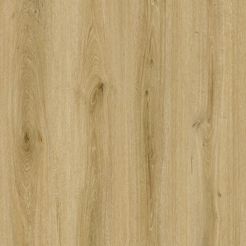 _0001_Wessex-Oak